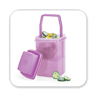 The Tupperware FridgeSmarts, the magic containers? - Caroline